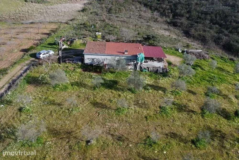 Encantadora Pequena Quinta à Venda nos Passos – O Refúgio Perfeito da - Grande imagem: 4/9