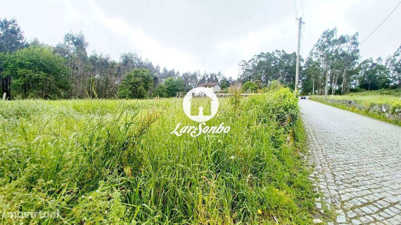 Terreno de 1.250m2 e 29m frente para construção de Moradias em S. P...-12