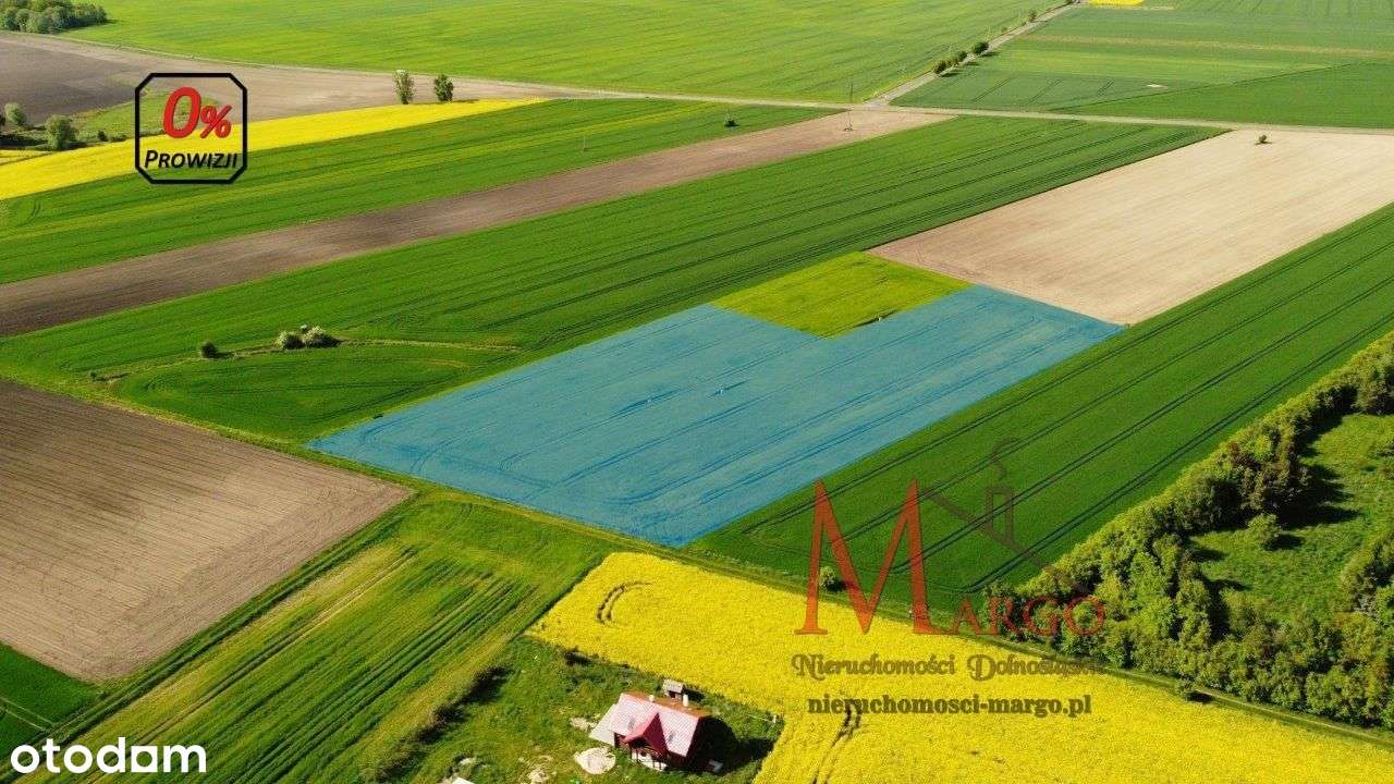 Duża działka siedliskowa Bogdaszowice