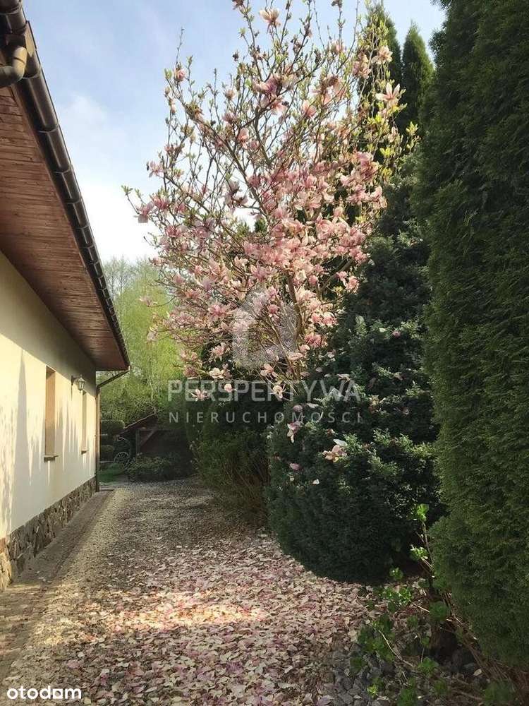 Dom Z Pięknym Ogrodem-Jędrzychów, Zielona Góra-7