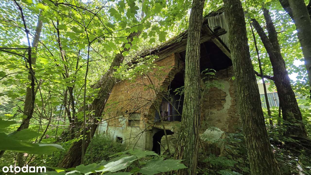 Działka budowlano-leśna. Wybuduj dom w lesie! - Pełny obrazek: 4/13