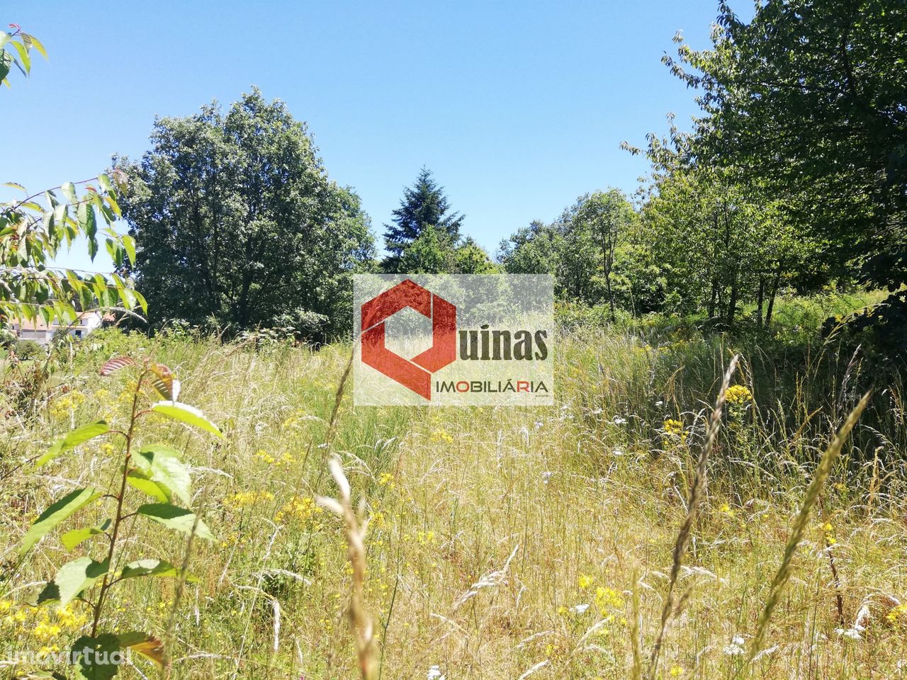 Terreno Rústico  Venda em Sabugal e Aldeia de Santo António,Sabugal