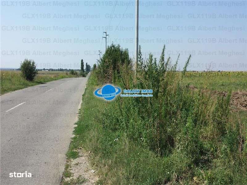 Vanzare Teren Intravilan  Herasti Giurgiu 2 HA - Imagine principală: 2/7