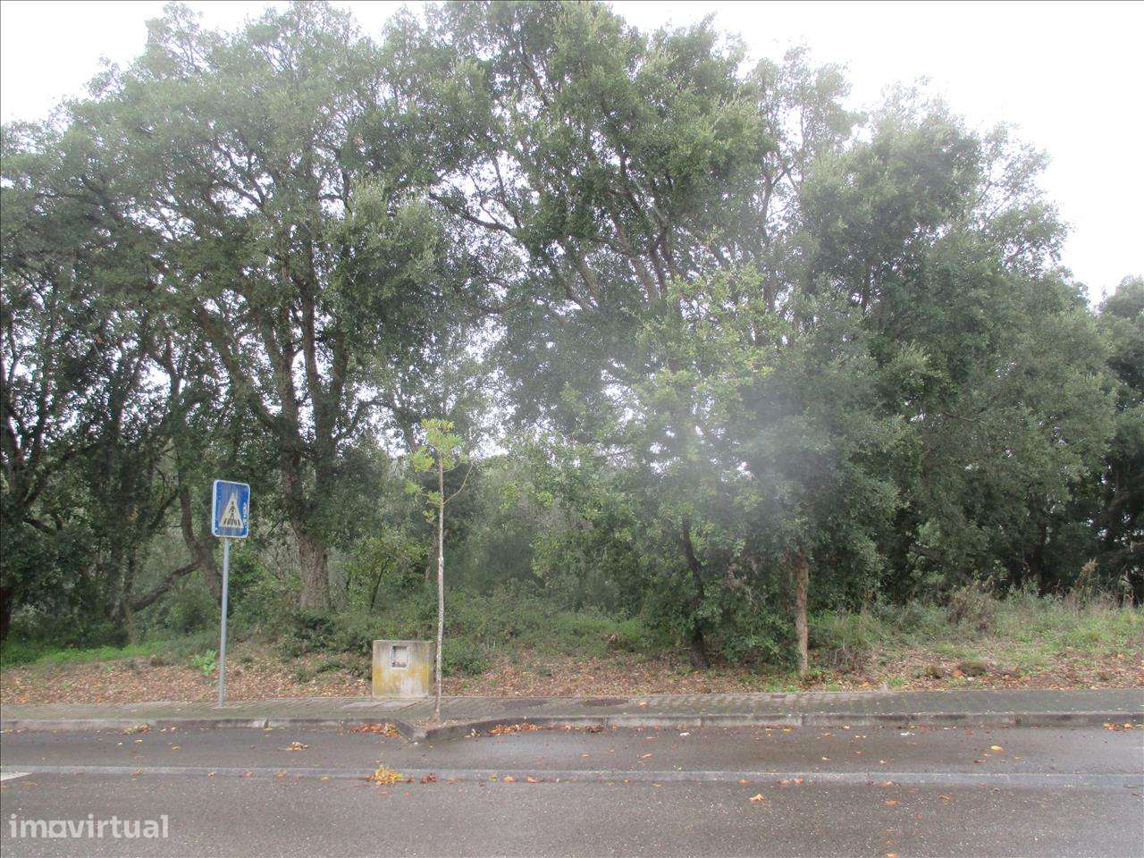 Terreno em Leiria, Leiria - Grande imagem: 4/8