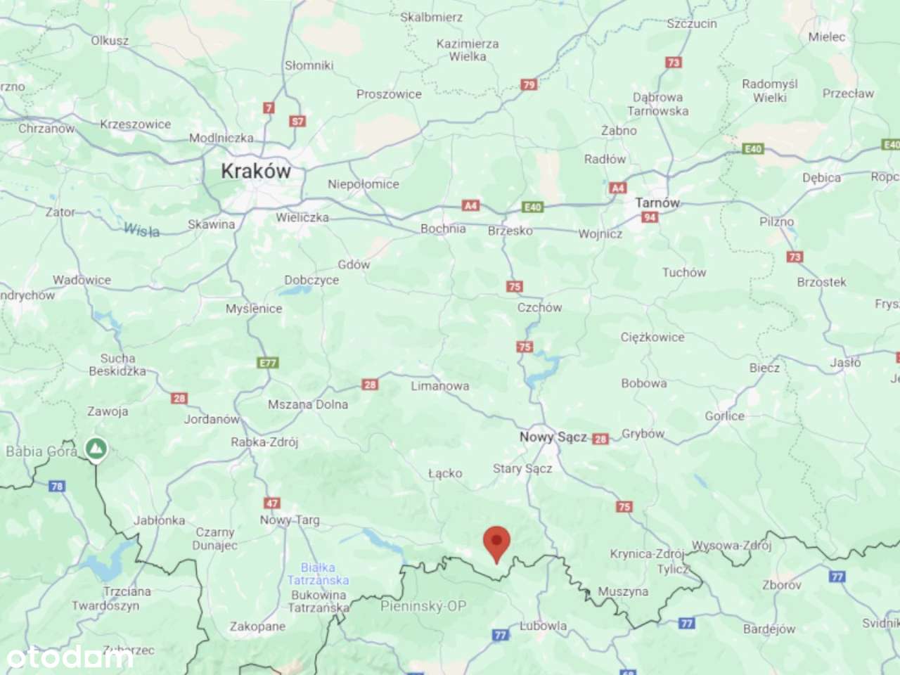 Twój kawałek Pienin z widokiem na marzenia! - Pełny obrazek: 4/20