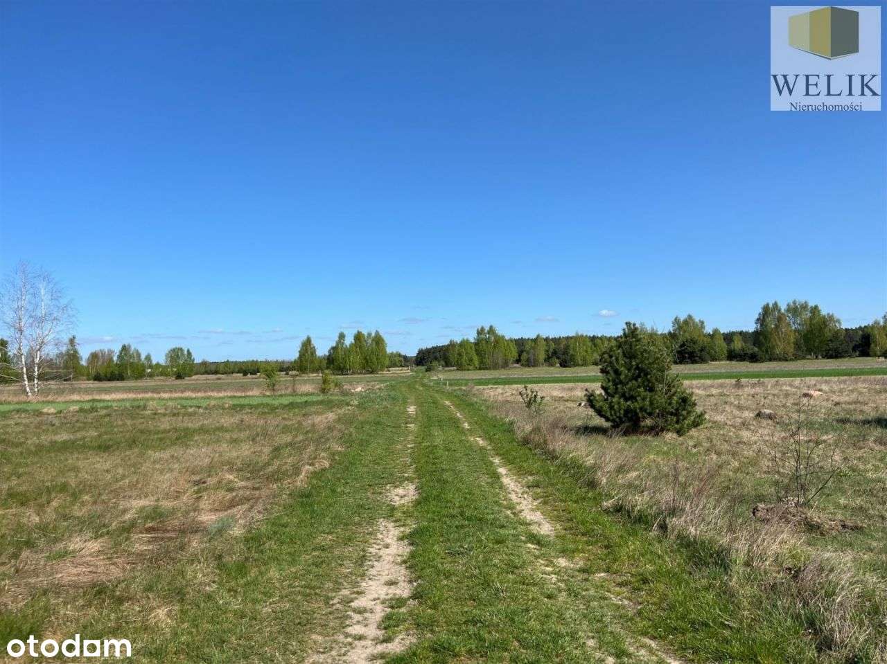 Wyjątkowa działka blisko natury o pow. 4116m2 - Pełny obrazek: 4/6