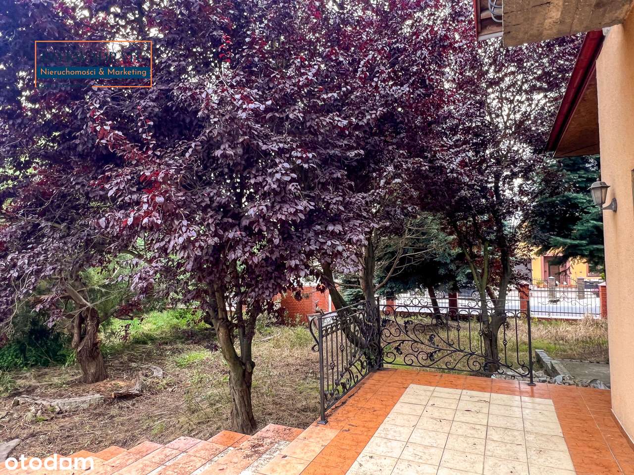 Willa z piękną działką i starodrzewiem w Izbicy Kujawskiej | NOWA CENA-18