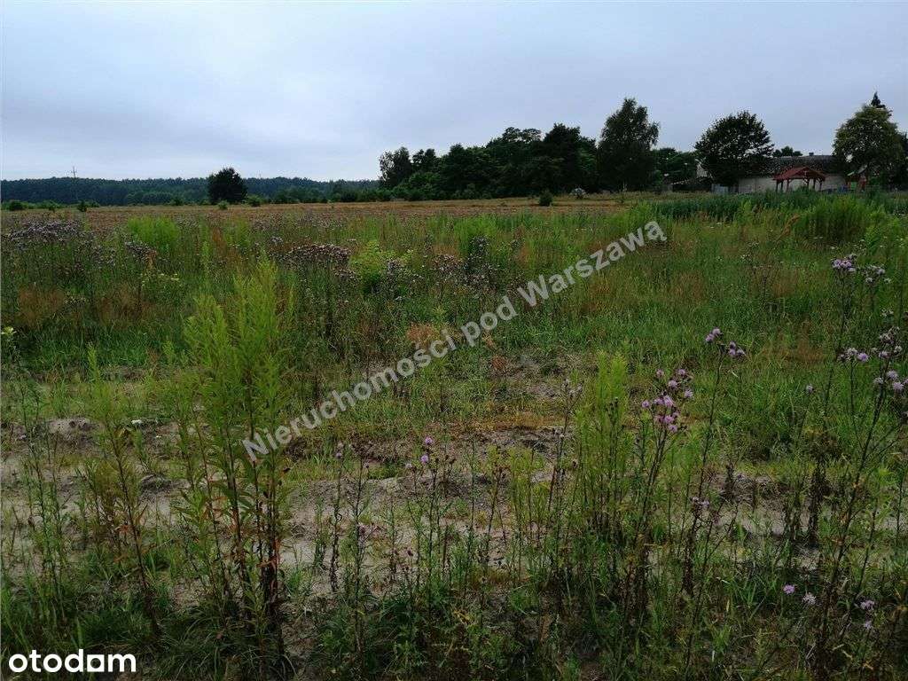 Duża działka przy asfalcie.-4