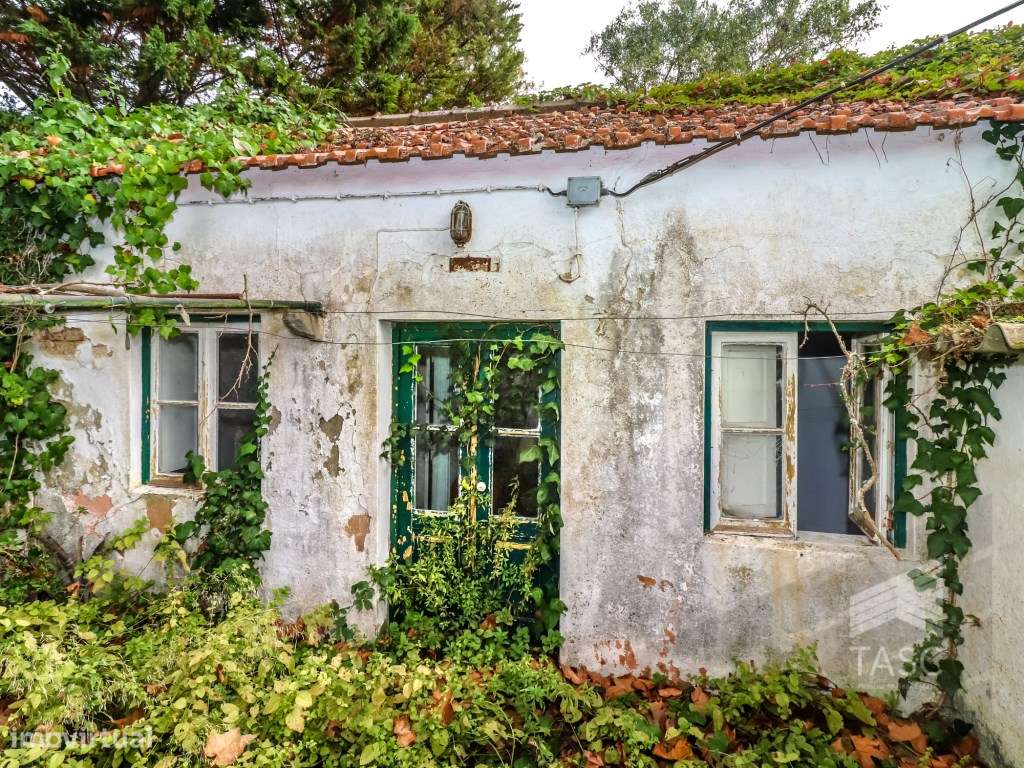 Moradia para reconstrução em Colares - Grande imagem: 4/20