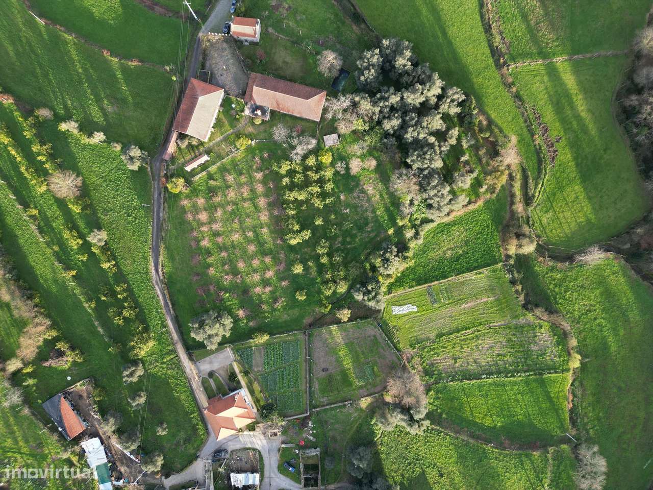 Quinta T6 Venda em Valdreu,Vila Verde-0