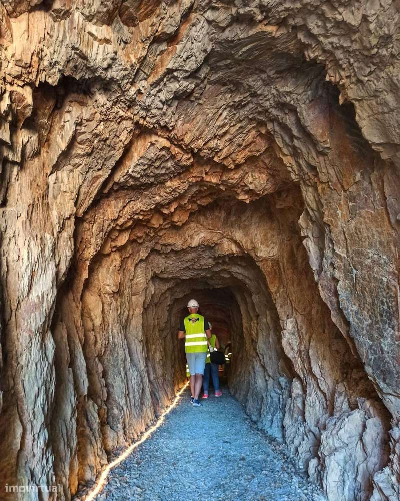 Quinta 5.3 ha, Covilhã-6