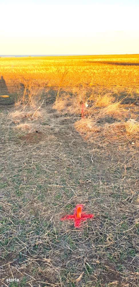 Eforie Sud, Teren 1608mp.D=50m./32m.1km.distanta de Mare-10