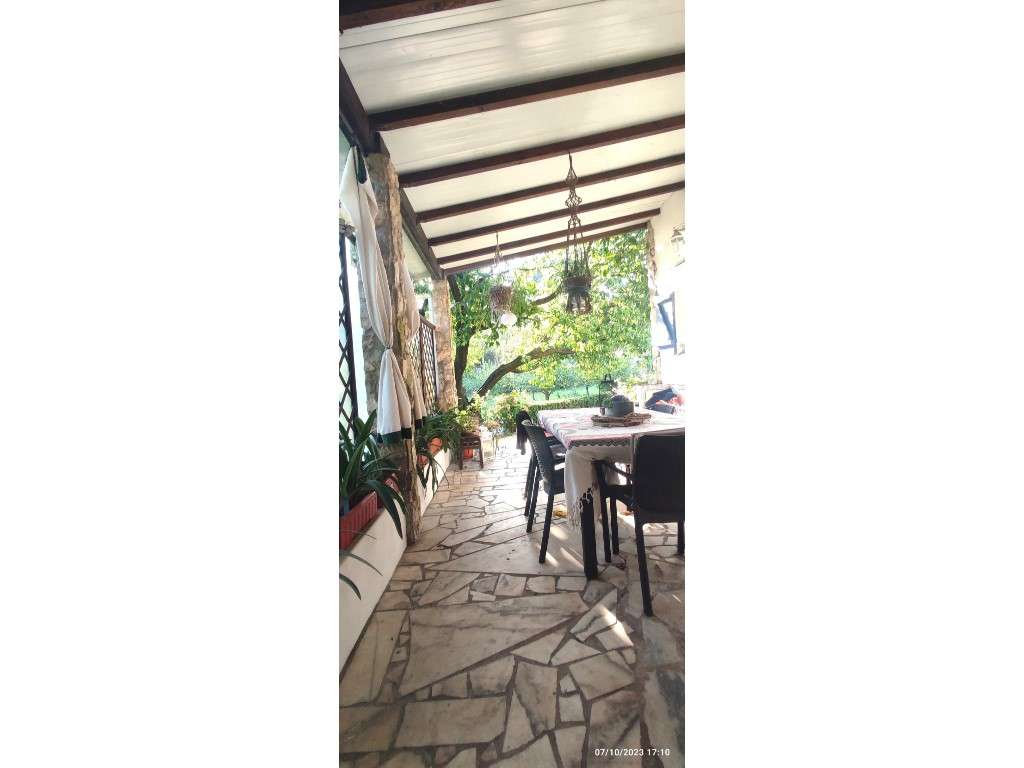 Quinta com duas moradias, anexos, diversas arvores de fruto, vinha ...-59