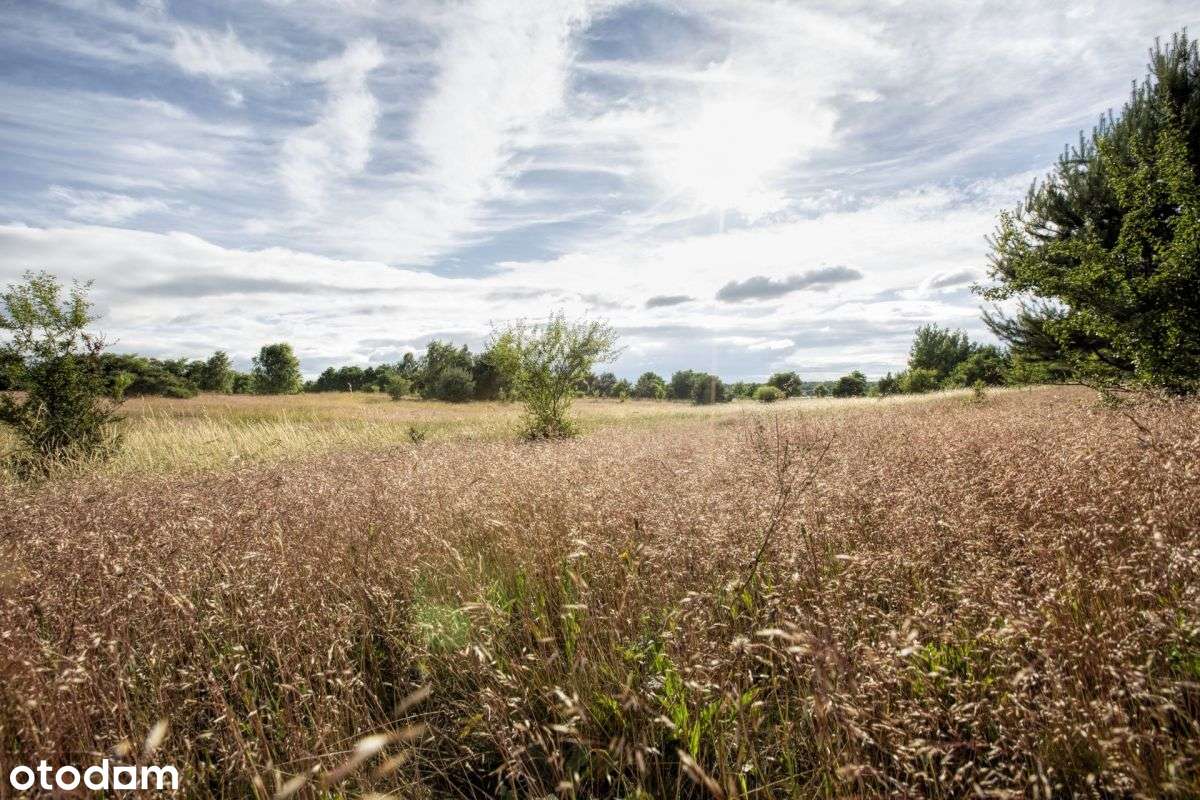 Działka w spokojnej okolicy 5 km od morza / Sarbsk - Pełny obrazek: 4/9