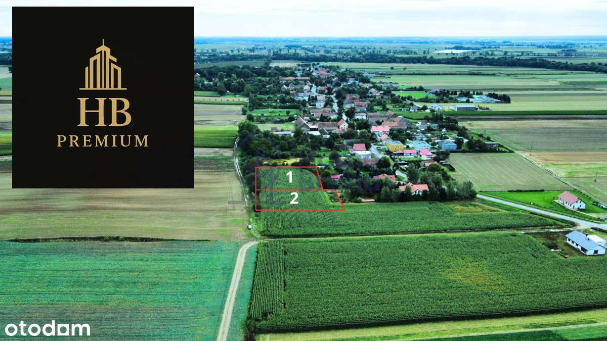 10 minut od Oleśnicy| Prąd na działce| - Pełny obrazek: 3/5