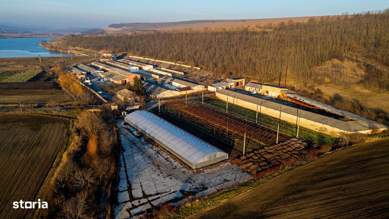 Fosta Ferma a Partidului de la Horgesti - de vanzare-18