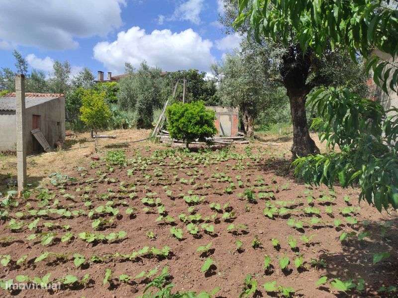 Casa para restaurar - Grande imagem: 5/12