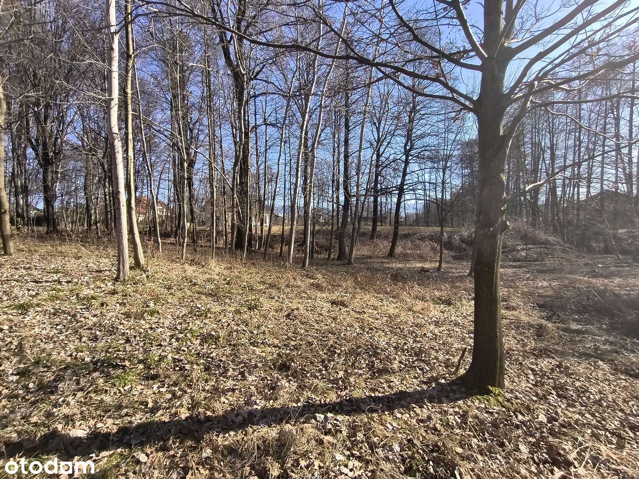 Działka marzeń 3300 m² | Las, strumyk, cisza | Hałcnów-6