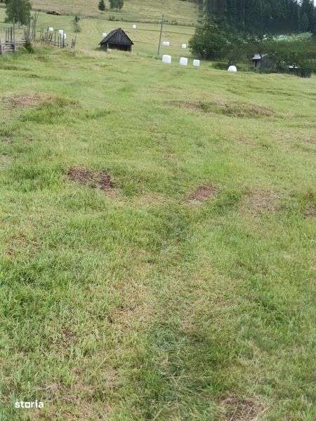 Vanzare  teren intravilan - Imagine principală: 5/5