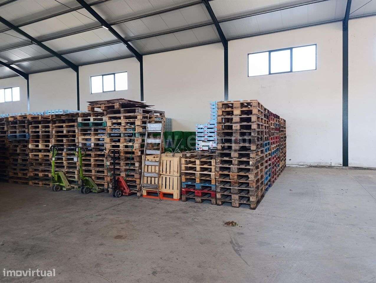 Quinta T1 / Fundão, Donas - Grande imagem: 2/2