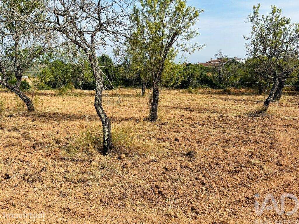 Terreno em Paderne de 1800,00 m2 - Grande imagem: 4/13