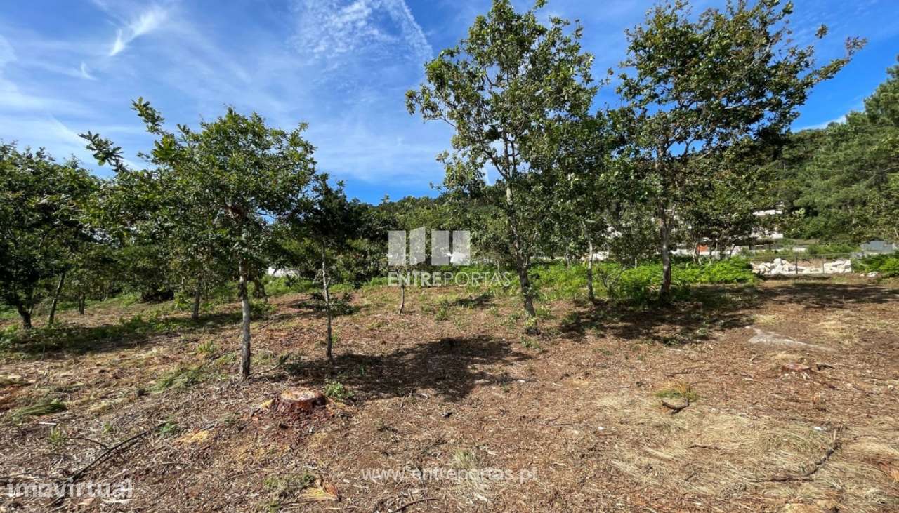Venda de fantástico terreno para construção, Areosa, Viana do Caste - Grande imagem: 4/30