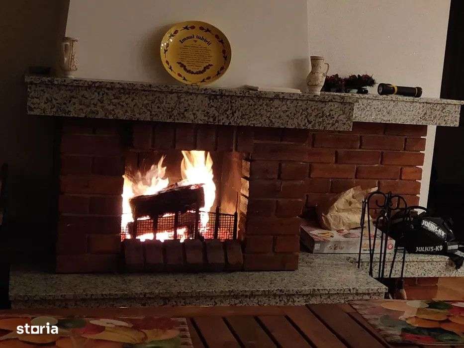 Cabana de vanzare , 320 mp utili, zona Belis - Imagine principală: 4/8