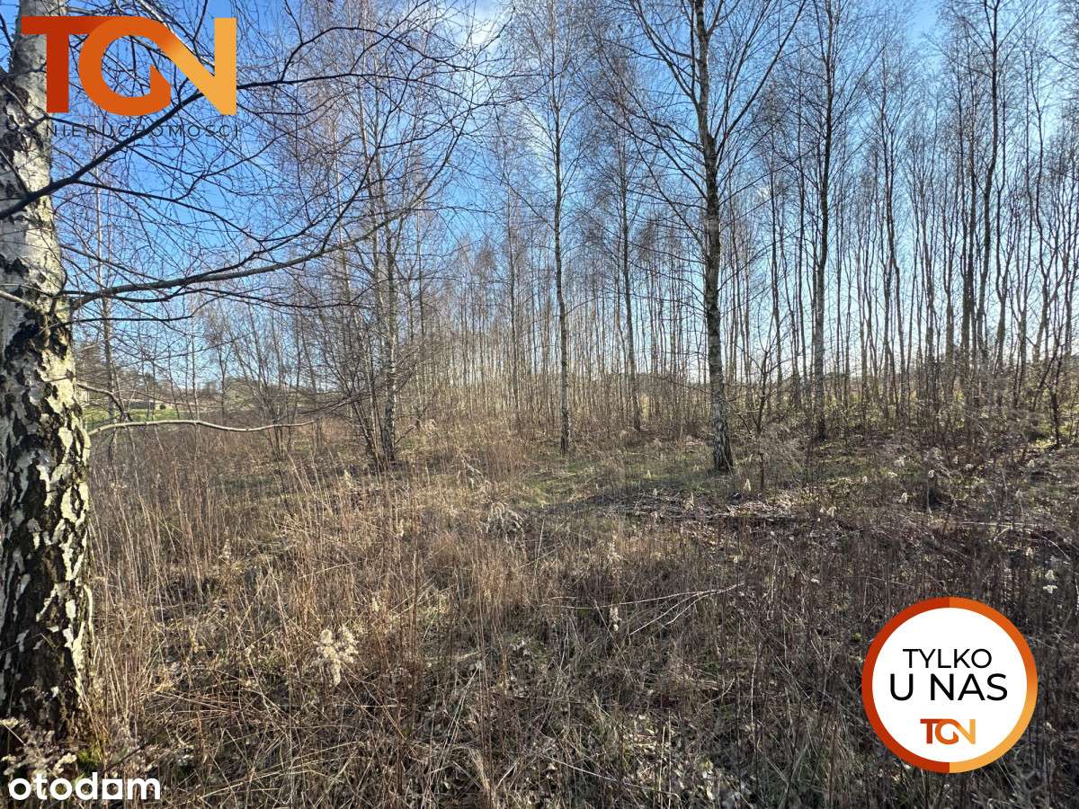 Działka pod zabudowę, 20 min od Centrum Łodzi - Pełny obrazek: 5/8