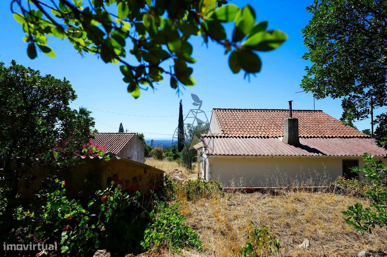 Quinta com Vista Mar, Água em Abundância e Privacidade — Rincovo Palme-50
