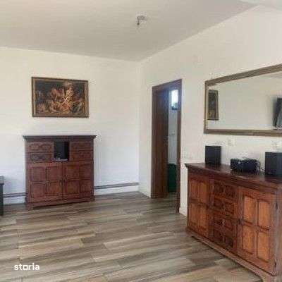 Casa de vanzare 360mp utili, 1500mp teren , Salicea - Imagine principală: 4/9