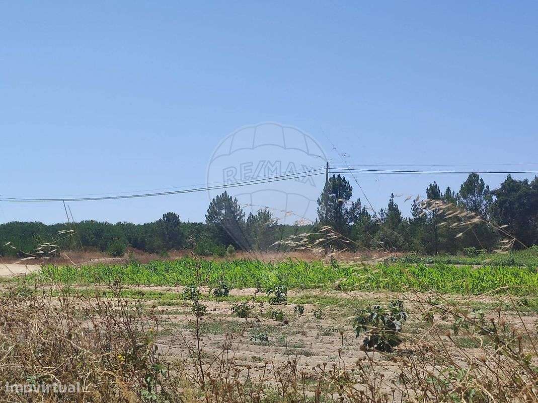 Terreno  para venda - Grande imagem: 4/12