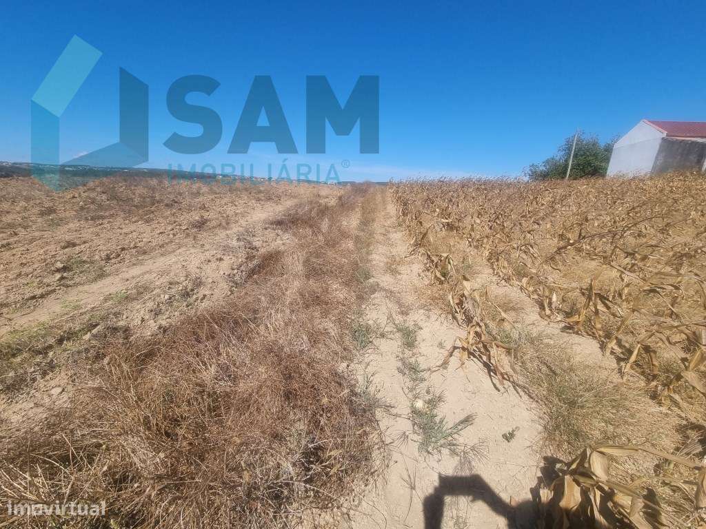 Terreno Urbanizável com 1.880m² em Campelos - Torres Vedras - Grande imagem: 4/11