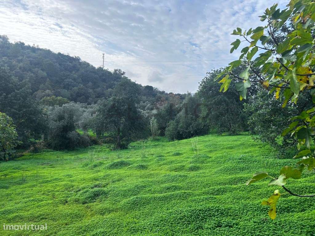 Terreno em Salir com viabilidade de construção - Grande imagem: 4/9