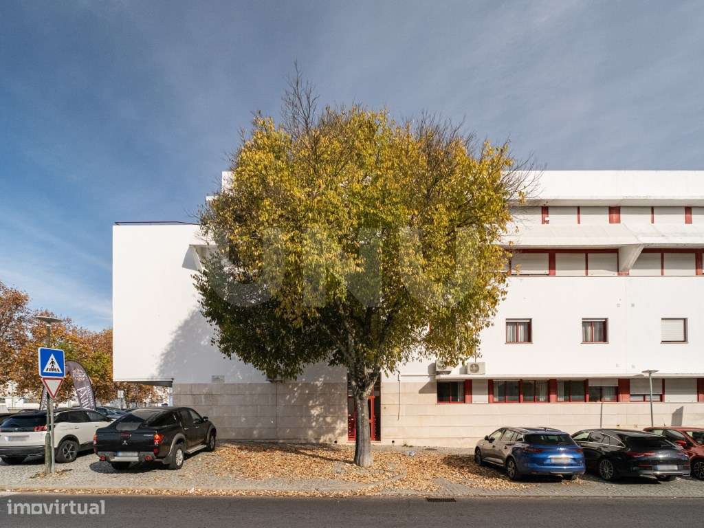 Apartamento T4 no Rés-do-Chão, em Ótimo Estado de Conservação - Grande imagem: 1/24