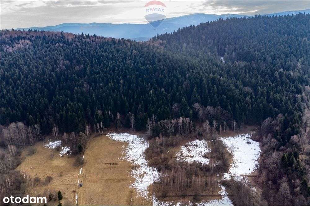 Duża 20 arów z dużym 2 Ha prywatnym lasem - Pełny obrazek: 5/20