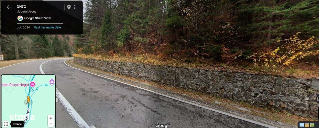 TEREN EXTRAVILAN PADURE PISCUL NEGRU ARGES-3