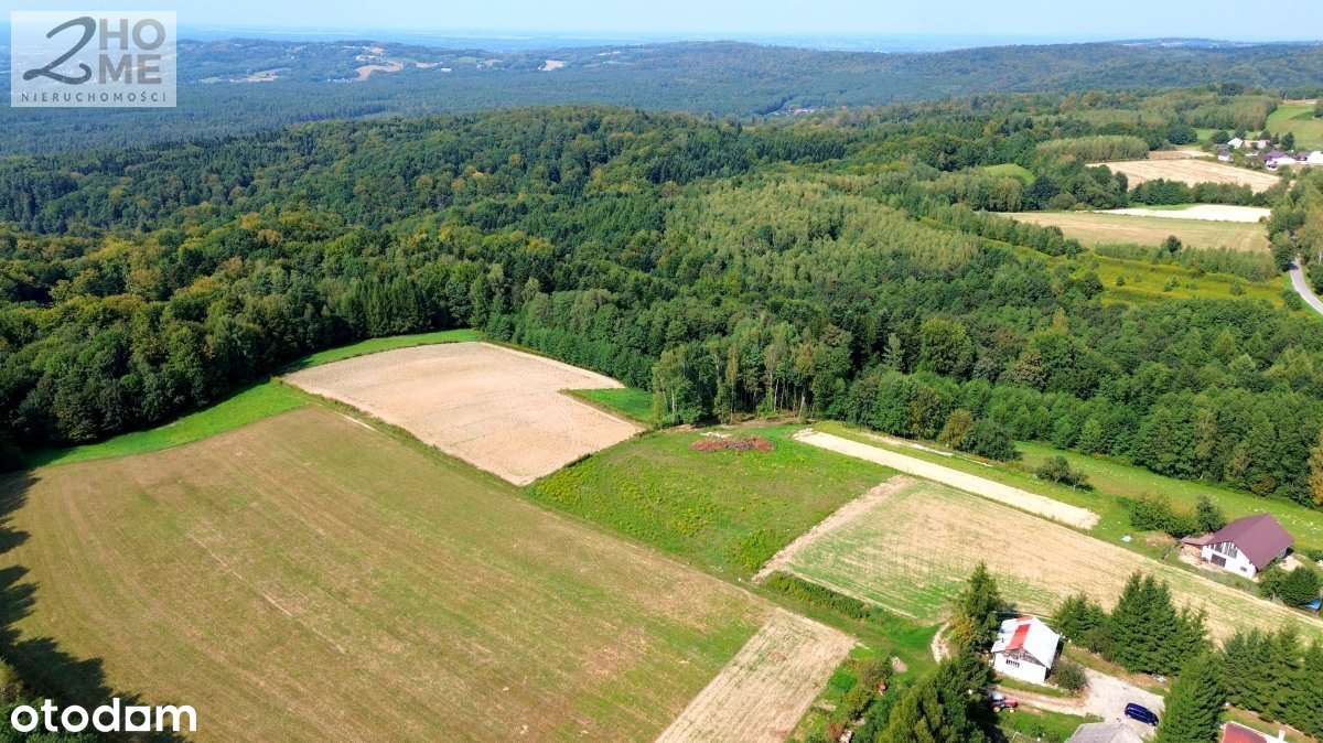 Twój kawałek spokoju - 38 arów w Gębiczynie-11