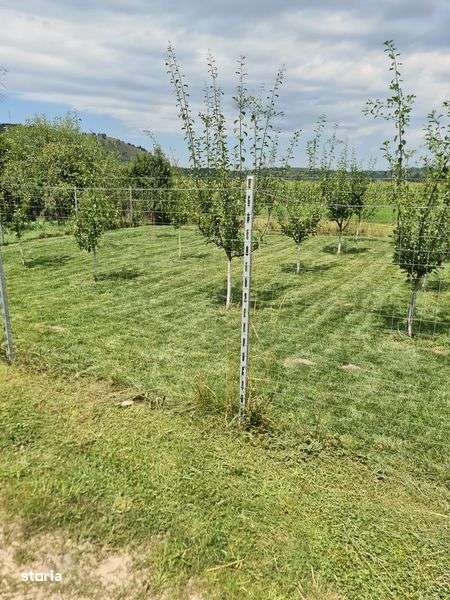 Vand Casa sat Ioanis jud.Bihor - Imagine principală: 4/8