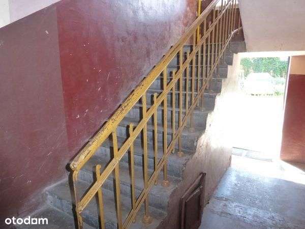 Lokal użytkowy, 352,57 m², Radom-4