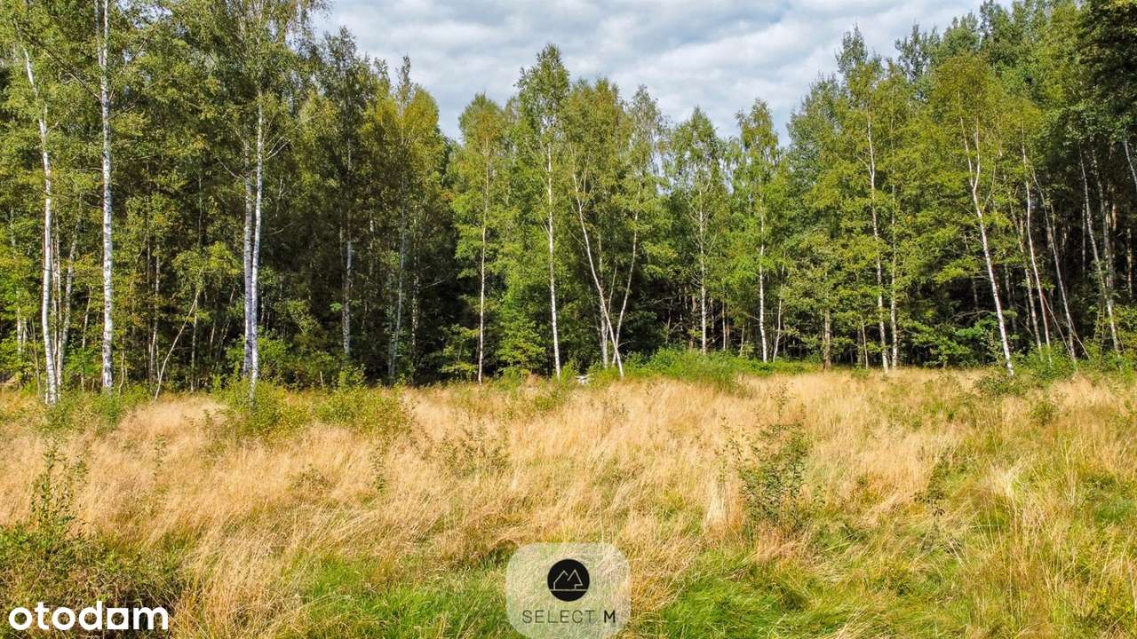 Urokliwa działka z przyłączem energetycznym - Pełny obrazek: 4/8