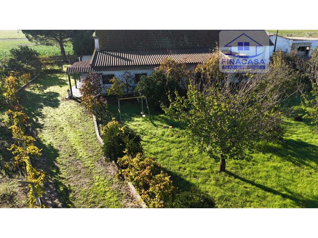EXCLUSIVO - Quinta com 2069 m2, T1 e um armazém - Asseiceira(Palmela)-45
