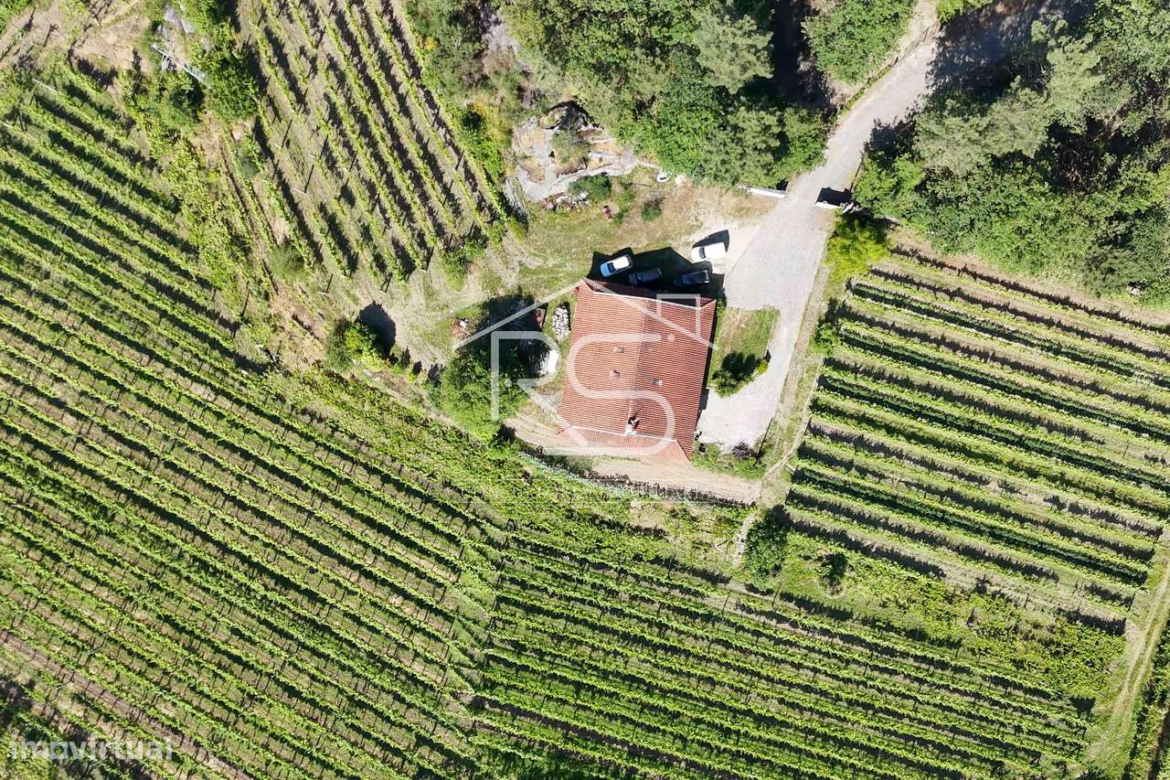 Quinta T6 | Selho São Jorge, Guimarães-19
