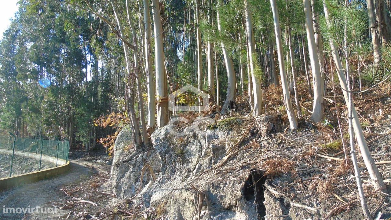 Monte para plantação de vinhas