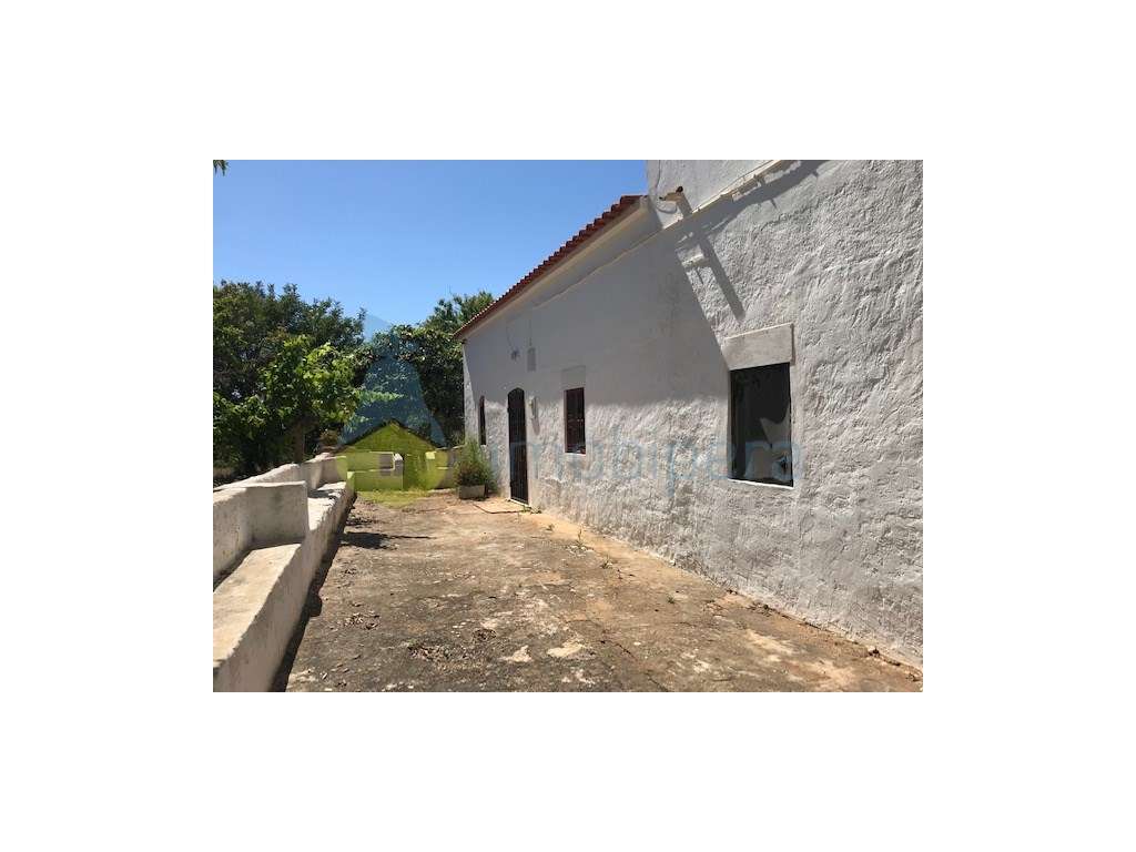 MORADIA T4 / QUINTINHA ALGARVIA COM 47.000 M2 DE TERRENO - Grande imagem: 4/35