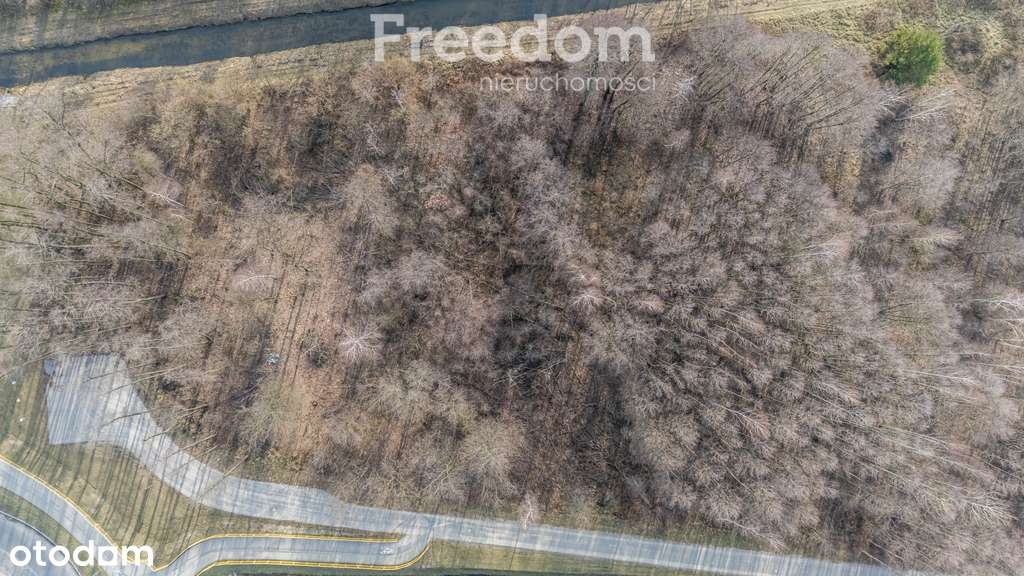 Działka budowlna na Sprzedaż - Pełny obrazek: 4/6