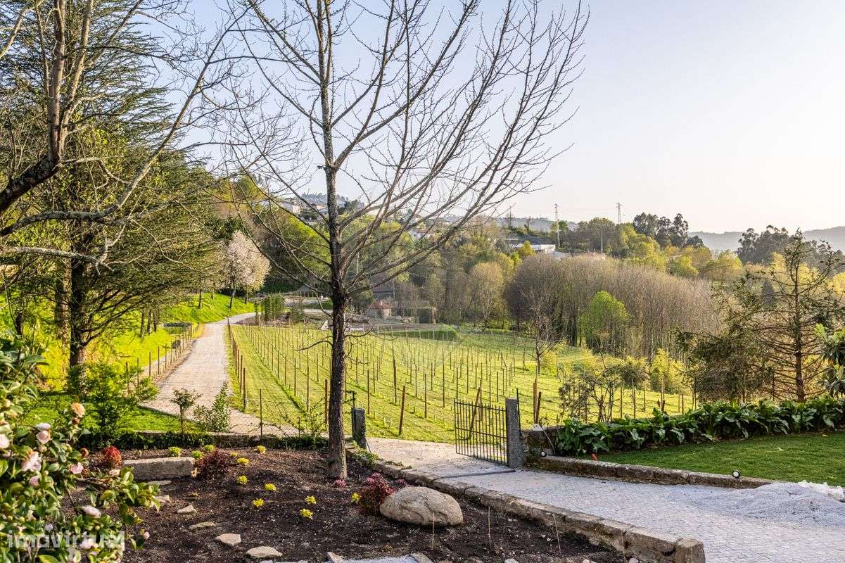 Quinta  para venda-16