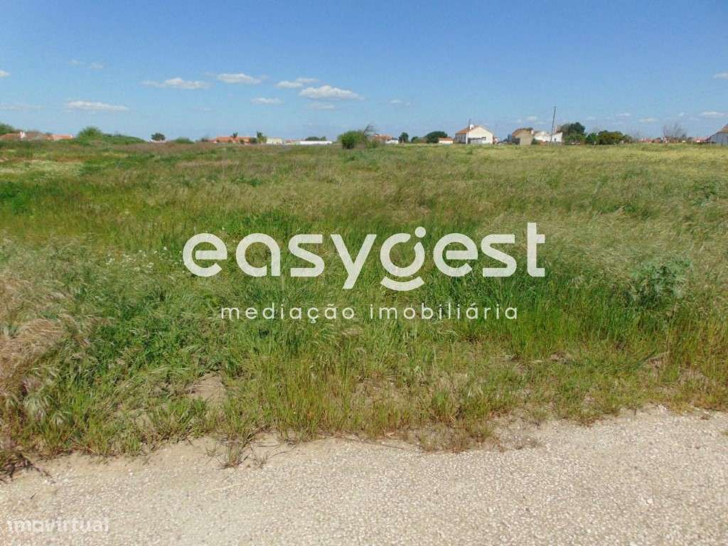 Excelente Terreno Misto com viabilidade de construção em Salvaterra - Grande imagem: 2/20