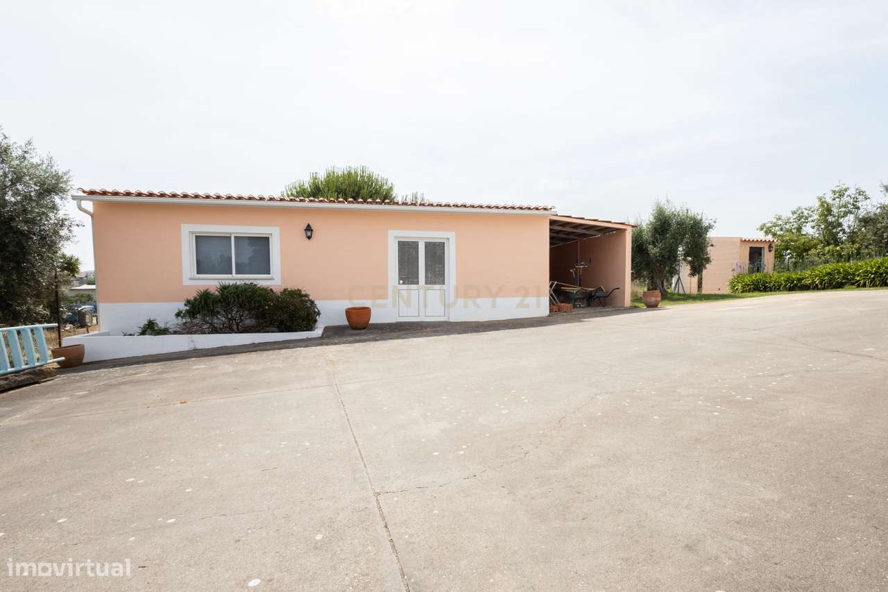 Propriedade Única com Piscina, Lago e Produção de Azeite-51