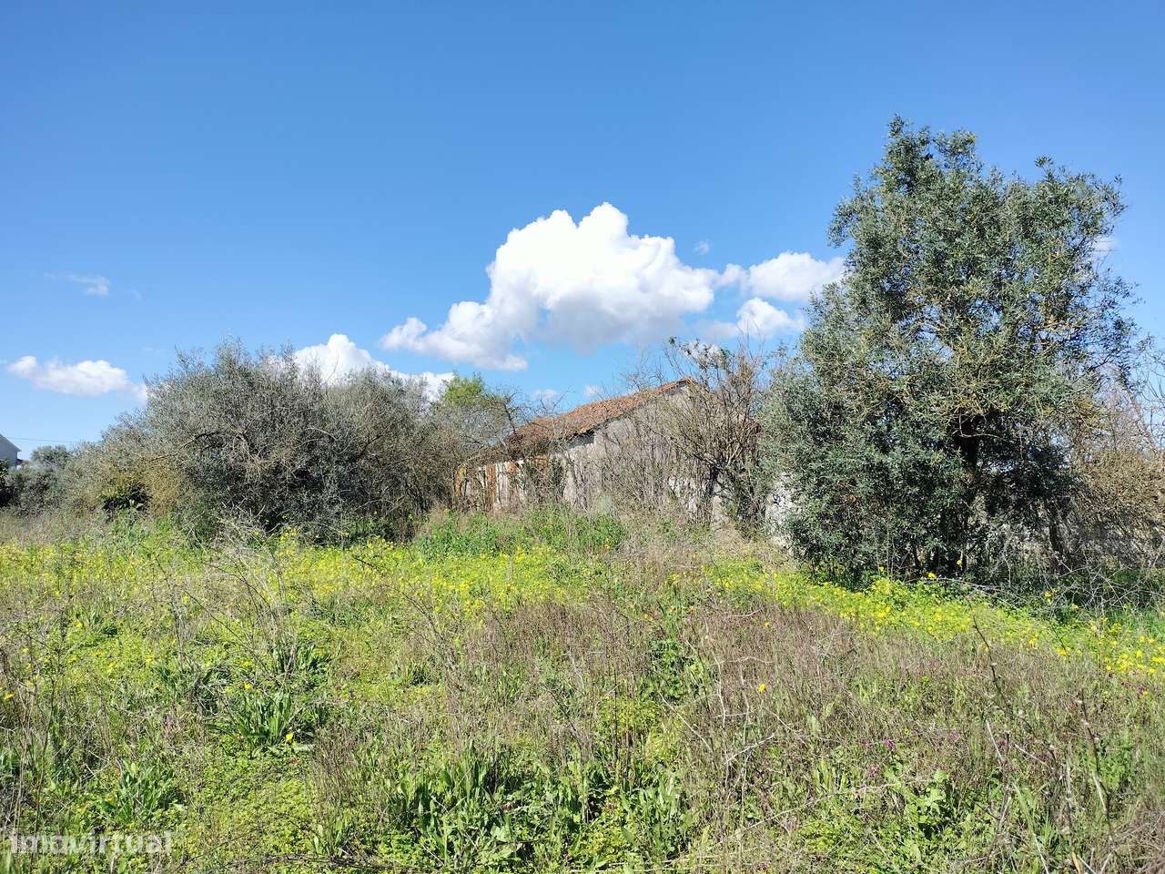 Moradia para Recuperar nas Abitureiras - Grande imagem: 4/11