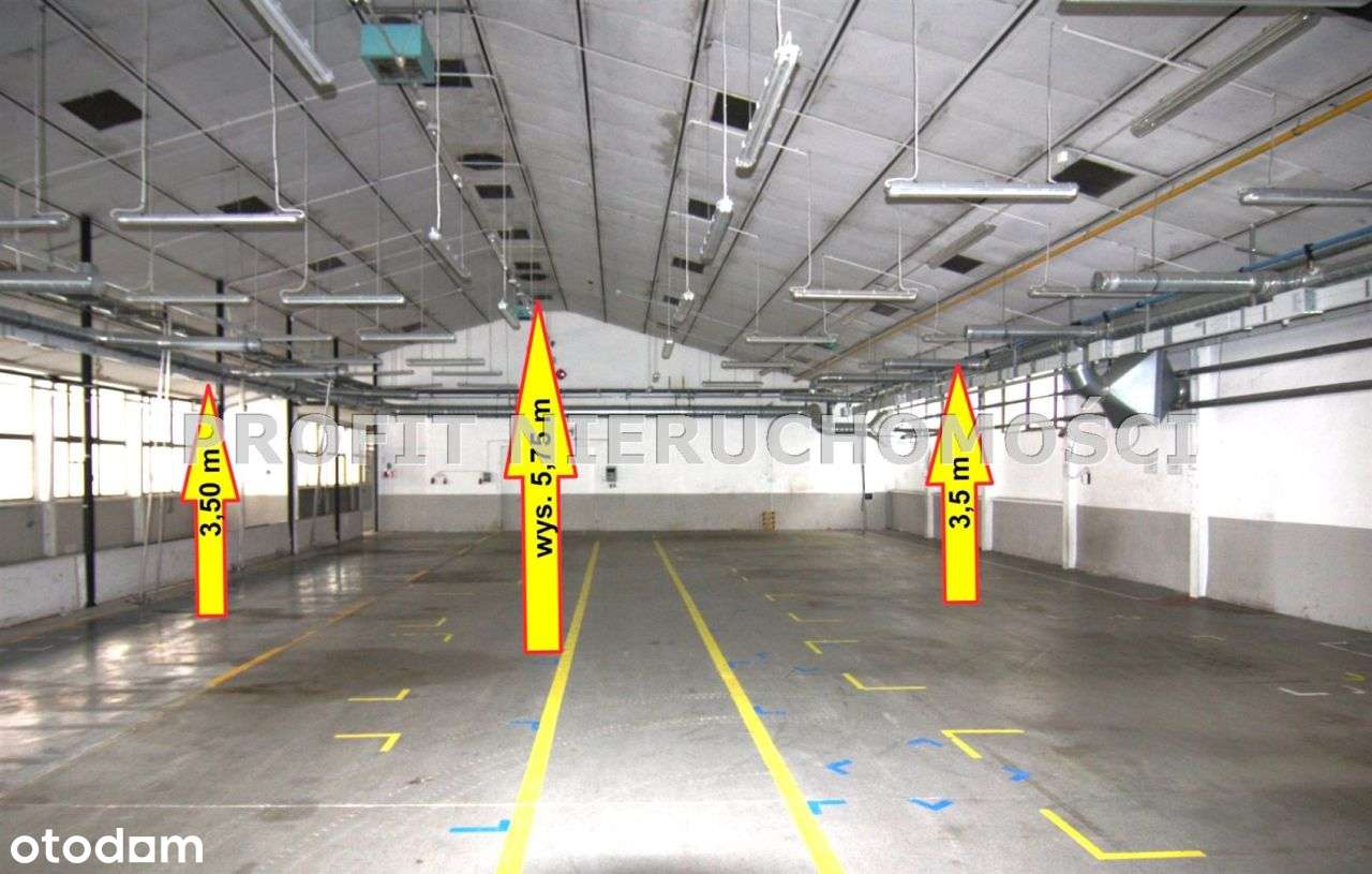 Przestronna hala 1532 m² magazynowo - produkcyjna - Pełny obrazek: 4/20